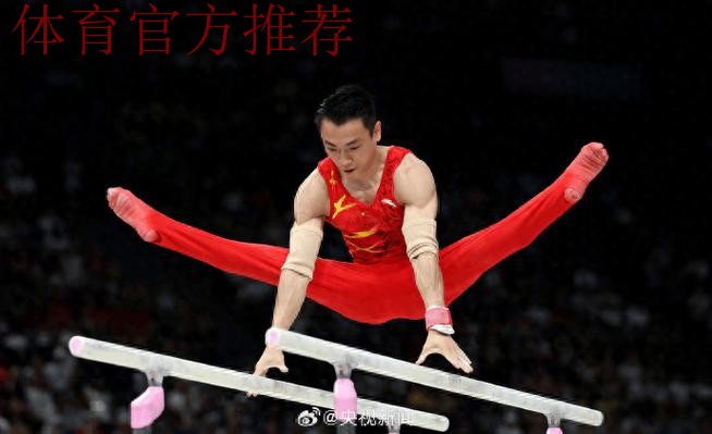 体操比赛结束 老将坚守 新人收获希望